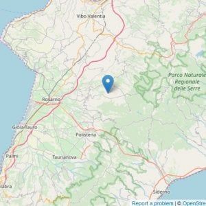 Terremoto, scossa di magnitudo 3,8 tra Reggio Calabria e Vibo