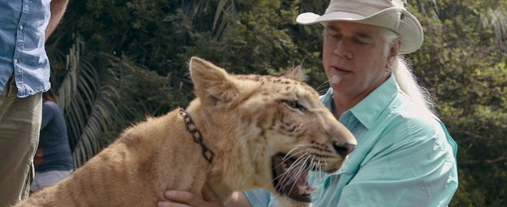 'Tiger King', in Usa tutti pazzi per l'allevatore di felini Joe Exotic, ora in carcere