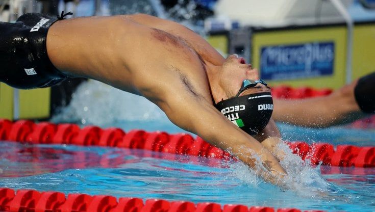 Nuoto, gli italiani in gara oggi a Roma: Ceccon, Pilato e Razzetti a caccia di altre medaglie