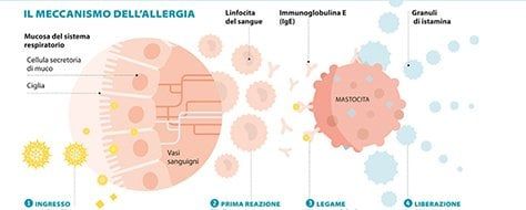 Allergie, come rispondere al mal di primavera