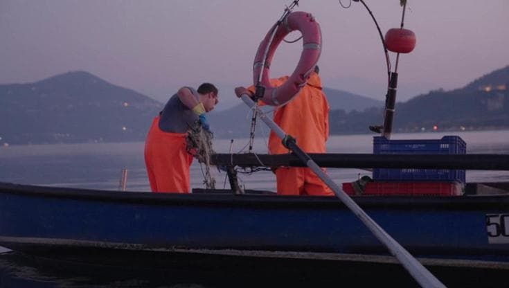 30. Sulle tracce del grande predatore: la pesca del pesce siluro nel Lago Maggiore
