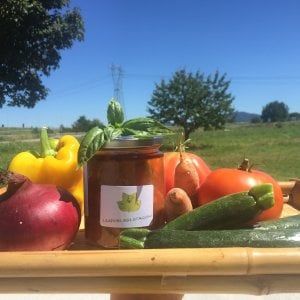 Sotto l'albero dei tulipani le verdure biologiche dagli orti di Borgaro