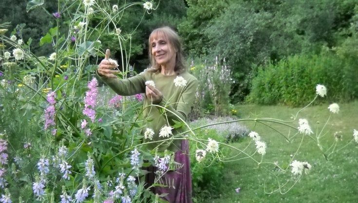 I giardini del Casoncello riaprono dopo sei anni: viaggio nell'eden incantato, fra rose antiche ed erbe aromatiche