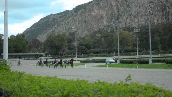 Ippodromo, una commissione d’inchiesta per indagare sulla regolarità delle corse