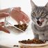 Cibo per gatti, boom di consegne a domicilio