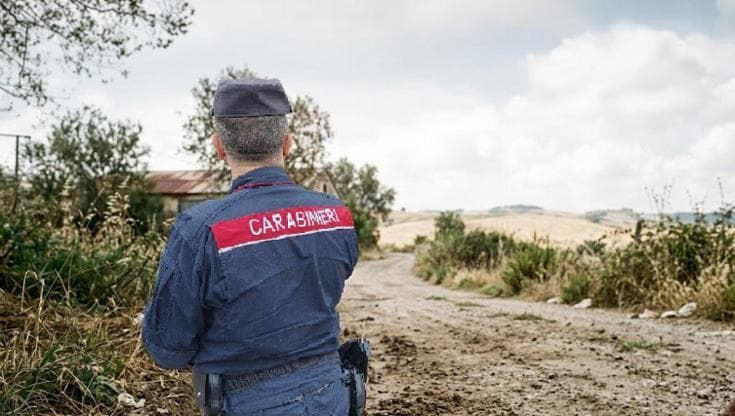 Aversa, affida a ditta cremazione i resti del suo cane ma ritrova la carcassa in strada
