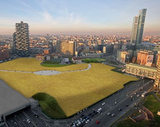 Milano, ecco come sar&agrave; il campo di grano fra i grattacieli