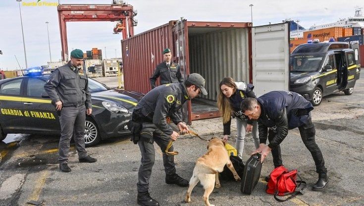 Operazione antidroga nel porto di Livorno, scoperti 208 chili di cocaina provenienti dall'Ecuador