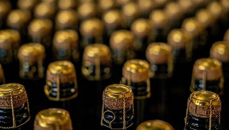 Fatturato in crescita per la Cantina Produttori Valdobbiadene: +20% grazie anche agli investimenti in innovazione e sostenibilità
