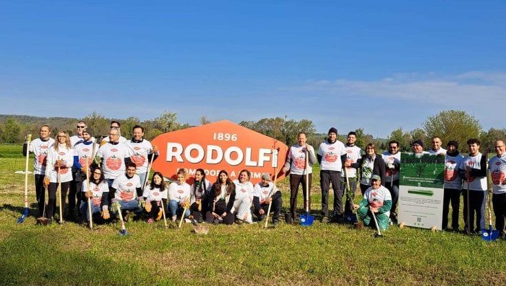 I dipendenti della Rodolfi Mansueto piantano 800 alberi a Ozzano