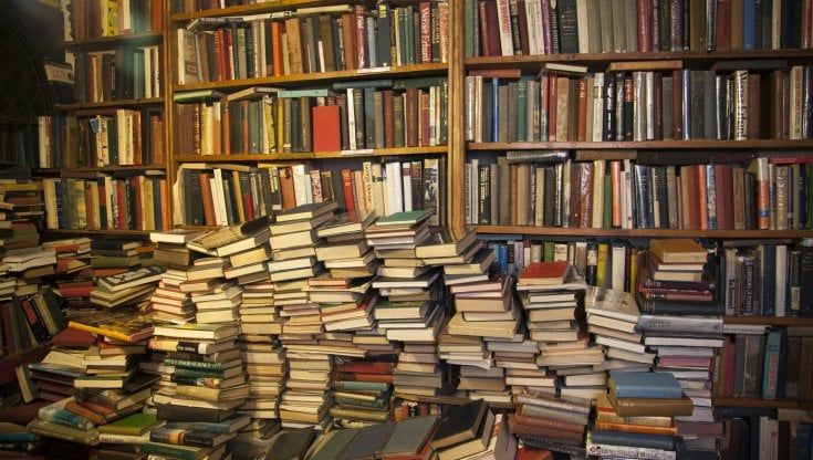 Quel ragazzo in mezzo ai libri e un Capodanno in cucina