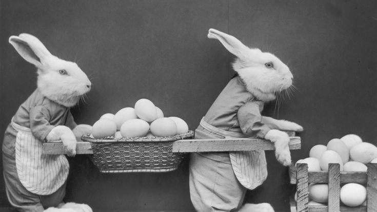 Pasqua, Marino Niola: "Dal simbolo del grano, all'uovo influencer"