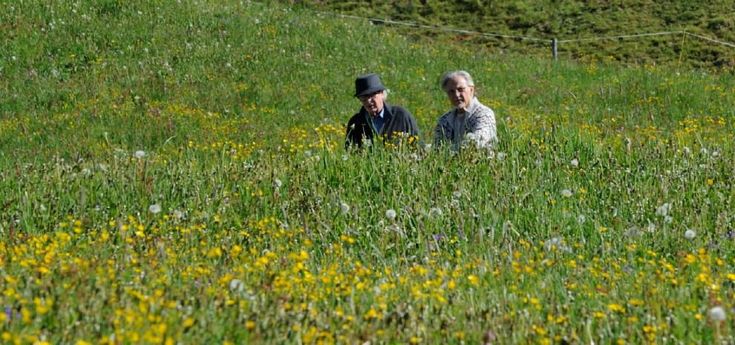 "Youth - La giovinezza", l’albergo sulle Alpi dove si incontrano incantate solitudini 