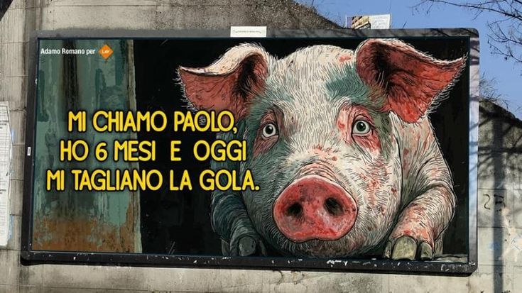 Bergamo, la protesta della Lav: “Censurati i nostri manifesti”. Il Comune: “Serve equilibrio”