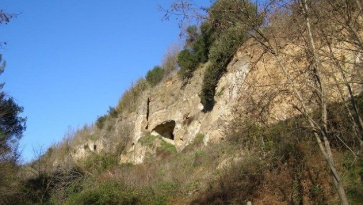Scivola nel fossato tra i rovi e resta bloccata, 19enne salvata dalla nonna: l'ultima telefonata poi le urla