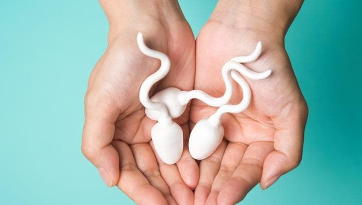 Ecco come l’ambiente uccide gli spermatozoi: la fertilità cambia a seconda di dove si vive