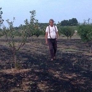 Brindisi, in fiamme i Giardini di Pomona: distrutte 300 piante. "L'incendio è doloso"