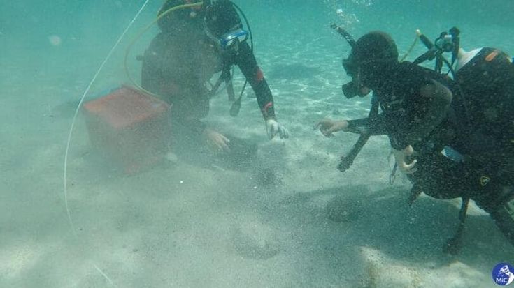 Archeologia: deposito di monete in bronzo scoperto nel mare della Sardegna