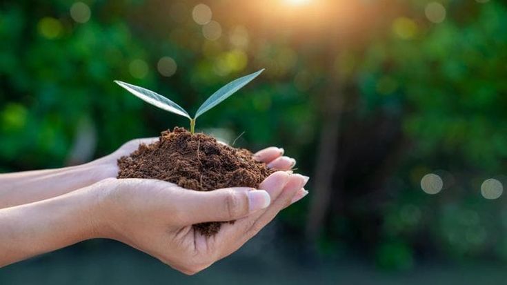 Come misurare i benefici delle obbligazioni green