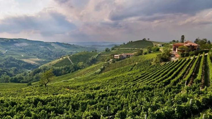 La scommessa dell'OltrepòShire