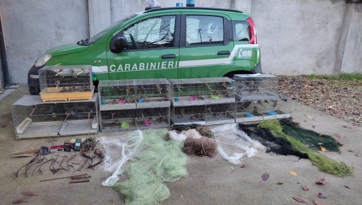 Chiusi in gabbia 142 uccelli selvatici catturati illegalmente: un uomo denunciato dai carabinieri della Forestale