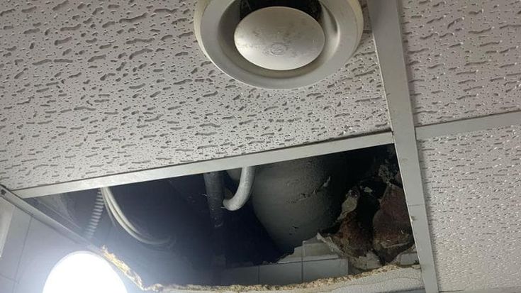 Wc intasati e puzzo ovunque, le ore da incubo alla residenza studentesca Calamandrei di Firenze