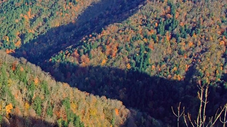 Foliage, dove andare per godersi un viaggio nei colori della natura