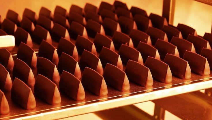 Nocciole, passione ed editti reali: così è nato il Gianduiotto
