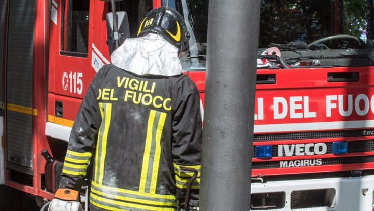 Muore travolto dall’albero che stava tagliando