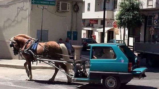 Montescaglioso, nel paese dei cavalli il sindaco vieta di usarli in centro. E i cittadini insorgono