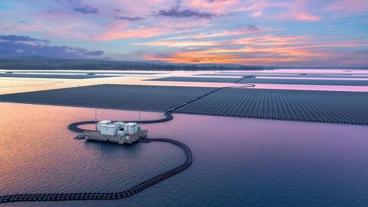 Rinnovabili, Irena: “Nel 2024 investimenti a 807 miliardi”