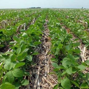 In Ue il cemento mangia 1000 km quadrati l'anno