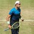 Tennis, Berrettini non si ferma più: batte Seppi e vola ai quarti a Halle
