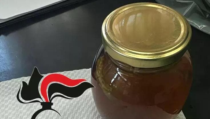 Miele ‘da sballo’ o wax, che cos’è la droga che mette a rischio la vita dei ragazzi