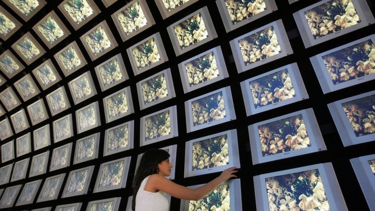 Per le tv è l’ora del “big bang”