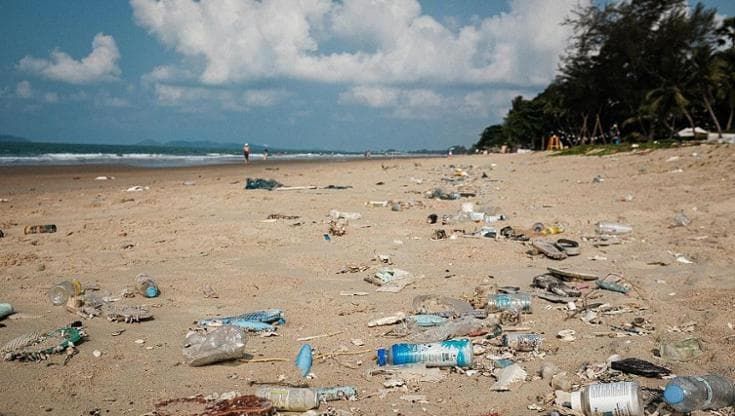Scoperta un’alternativa alla plastica, studiando la canapa