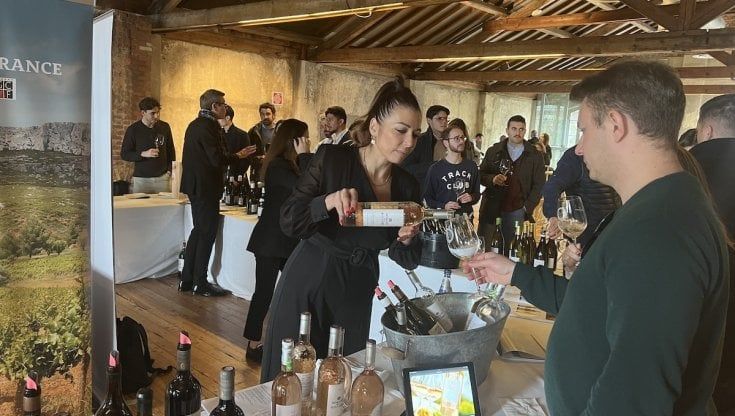 Vino, Les Grands Chais de France vola sul mercato italiano