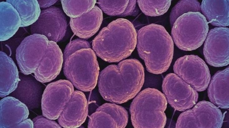 Giovani bocciati in sesso sicuro. Record di infezioni in Europa. I medici: “Va insegnato a scuola”
