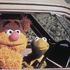 Disney+ segnala contenuti scorretti su Muppet Show: 