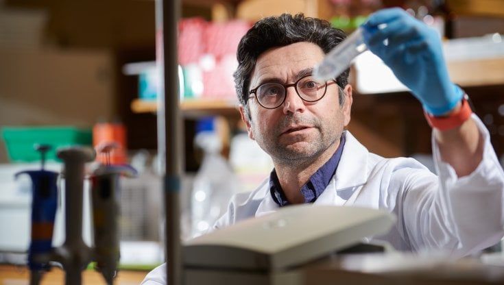 Il Nobel per la medicina, una questione di tatto