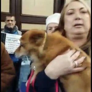 Genzano, donna col cane allontanata dalla chiesa, animalisti interrompono la messa
