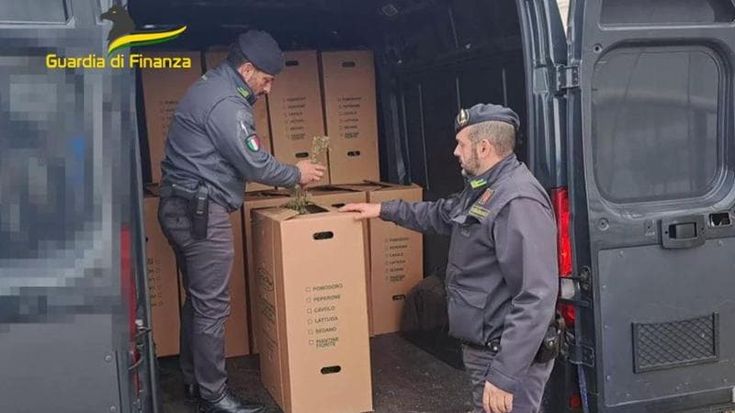 “La sera sono allo spaccio”: così la vendita di droga è diventata un lavoro da 1000 euro a settimana
