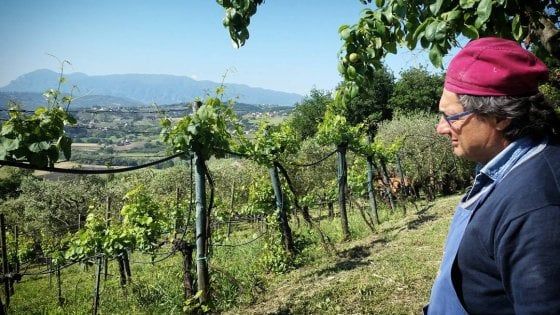 Tullio, veterinario pentito: "Ora insegno ai bambini ad amare la terra"