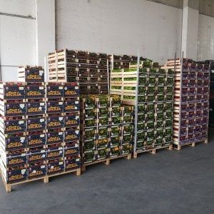 Vittoria, pomodori e uva senza documentazione: sequestro al mercato ortofrutticolo