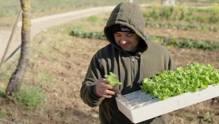 15. Agricoltura sociale e ragazzi autistici in Valnerina 