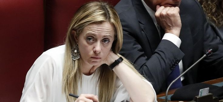 La fascia delle palme