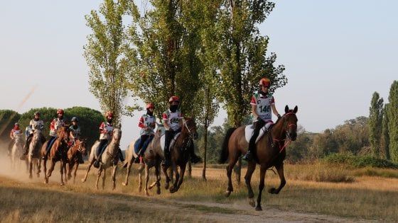 Cavalli e cavalieri, sfila il lusso a San Rossore