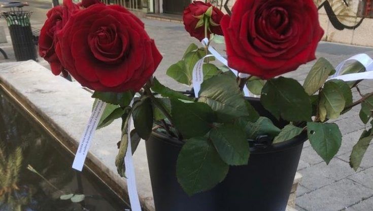 Un mazzo di rose per dire no al colonialismo
