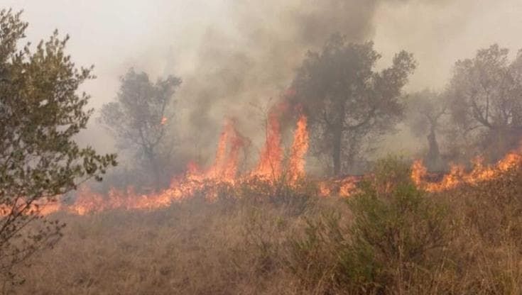 Incendi, dati Ispra: in fiamme un territorio grande come una provincia