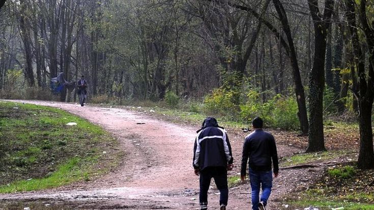 A Milano si muore di eroina: 33enne trovato morto nel bosco della droga a Rogoredo
